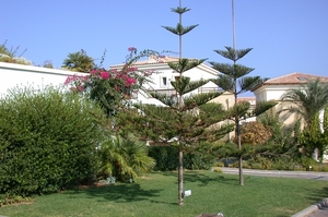 Panormo : Club Marine Palace : tuin