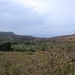 Panormo : het binnenland