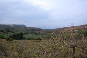 Panormo : het binnenland