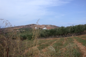 Panormo : het binnenland