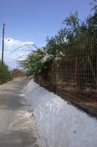Panormo binnenland