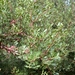 DSCN3641