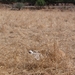 DSCN3646
