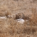 DSCN3649