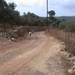 DSCN3652