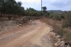 DSCN3652