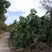 DSCN3653