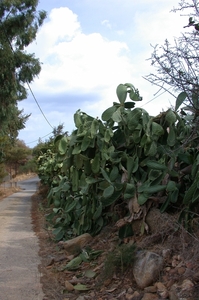 DSCN3653