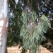 DSCN3656