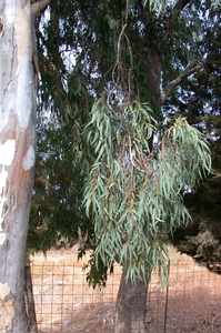 DSCN3656