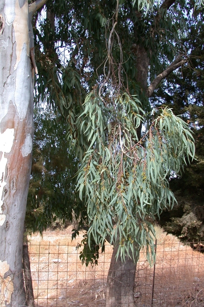 DSCN3656