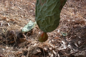 DSCN3657