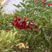 DSCN3662