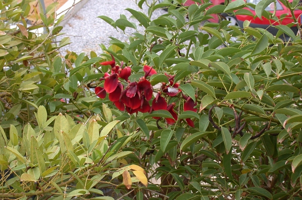 DSCN3662