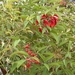 DSCN3663