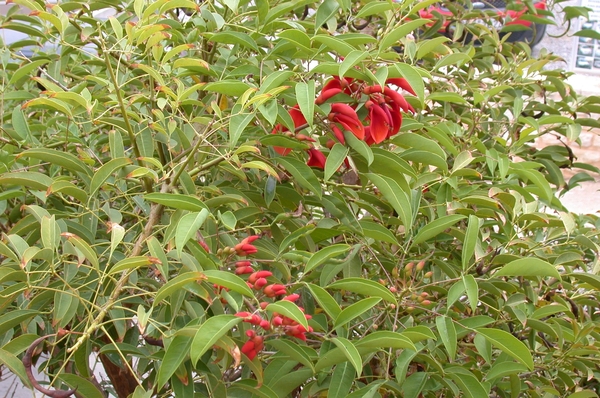 DSCN3663