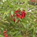 DSCN3664
