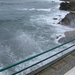 DSCN3666