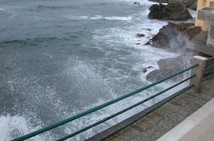 DSCN3666