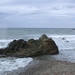 DSCN3667