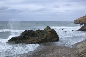 DSCN3667