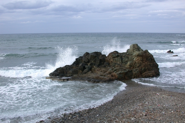 DSCN3669