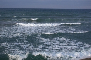DSCN3686
