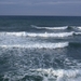 DSCN3687