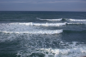 DSCN3687