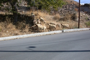 DSCN3695