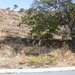 DSCN3696