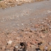 DSCN3713