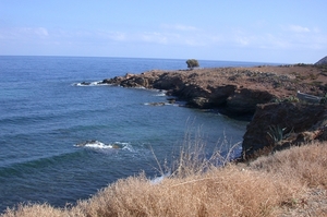DSCN3714