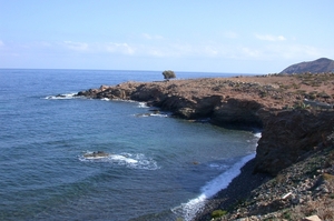 DSCN3717