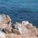 DSCN3720