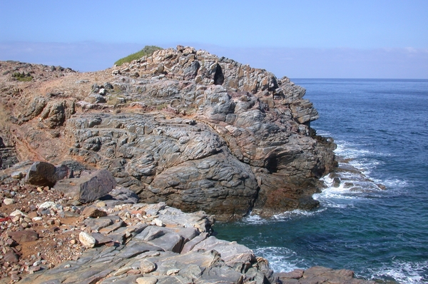 DSCN3725