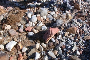 DSCN3727