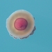 DSCN3740