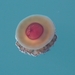 DSCN3741