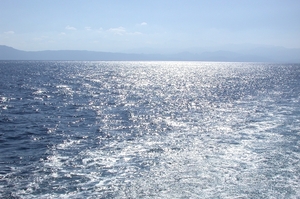 DSCN3752