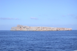 DSCN3754