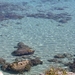 DSCN3793