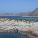 DSCN3803