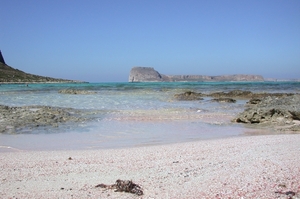 DSCN3806