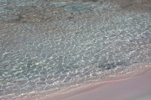 DSCN3807
