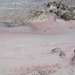 DSCN3808