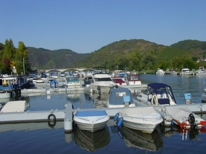 DSC02778