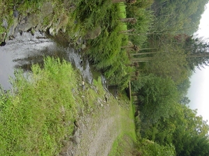 DSC02789