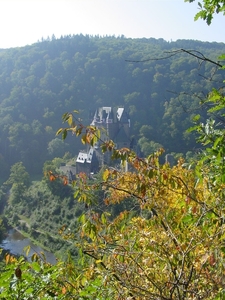 DSC02795