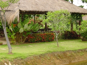 DSC03155